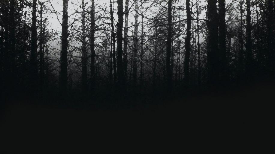 The Blair Witch Project DVD Review