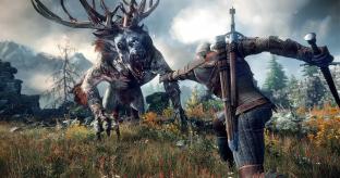 The Witcher 3: Wild Hunt Rolling PS4 Review