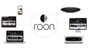 What are the pros and cons of using Roon?